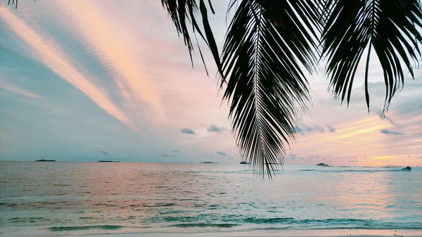 Quels sont les meilleurs endroits pour déguster des vins dans la région de la Rioja, Espagne : caves et tours guidés ?